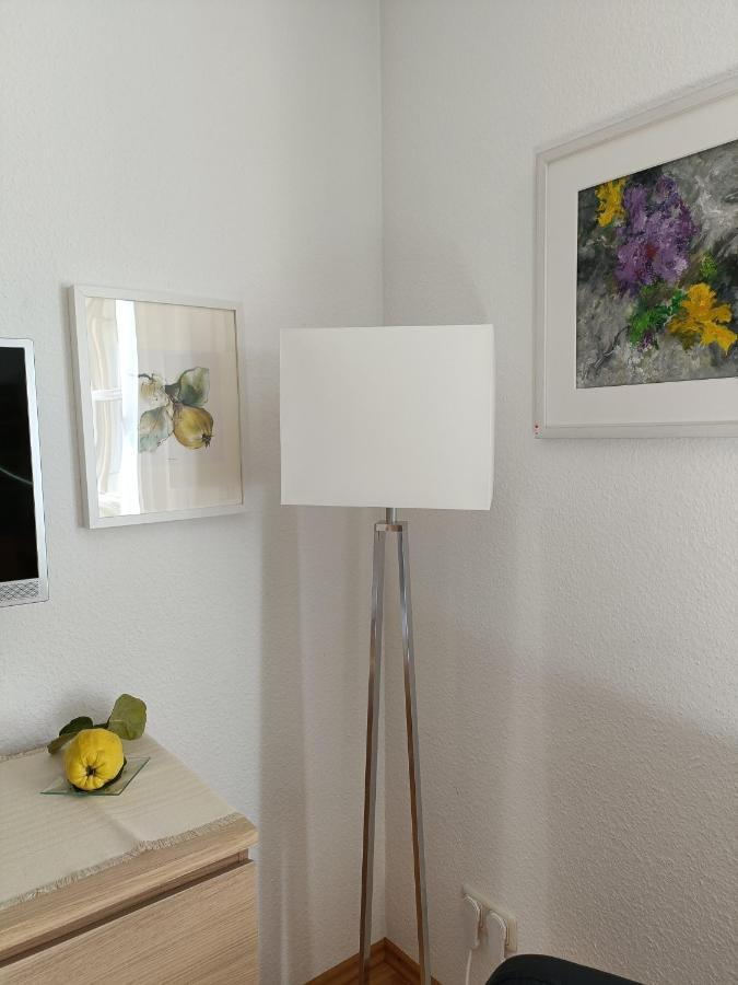 Apartment Haus Merlin Am Boeckelsberg Weimar  Extérieur photo