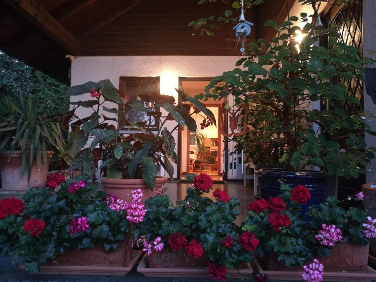 Apartment Haus Merlin Am Boeckelsberg Weimar  Extérieur photo